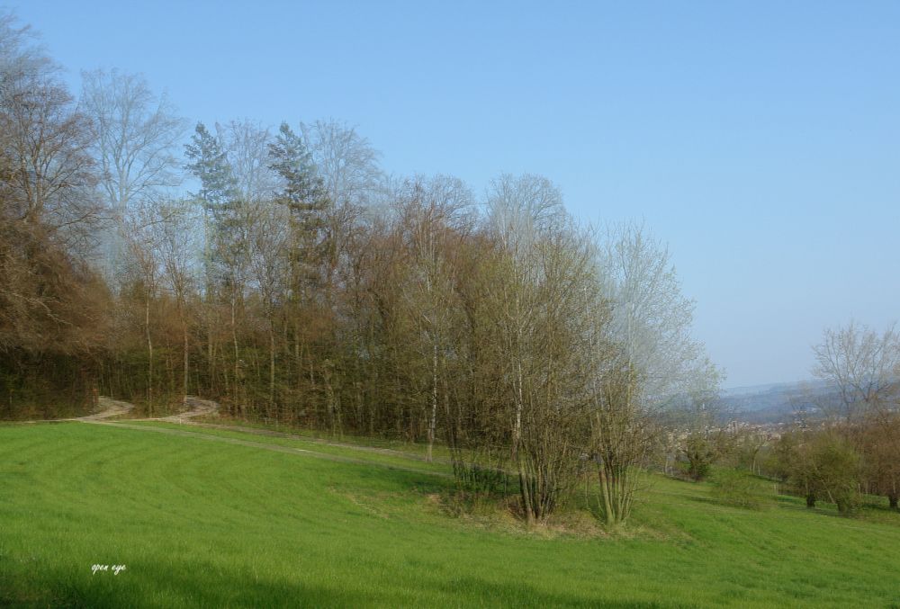 Auenstein Kt. Aargau/CH - 3D Intertlaced Bild an einem Polfilter Monitor oder 3D TV anschauen