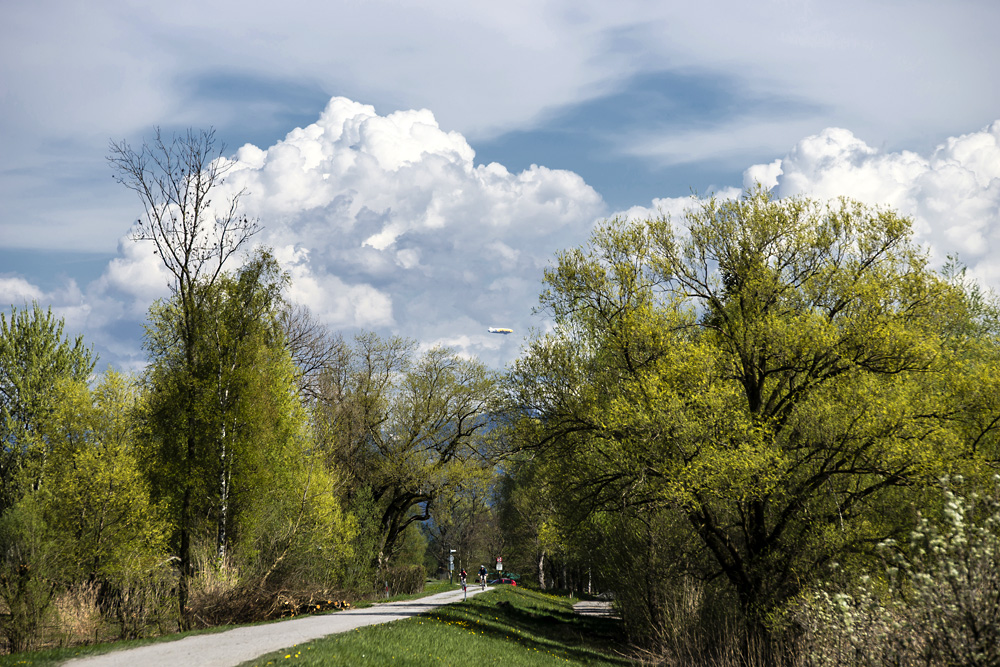 Auenwald im Frühling mit Zeppelin und Wolke