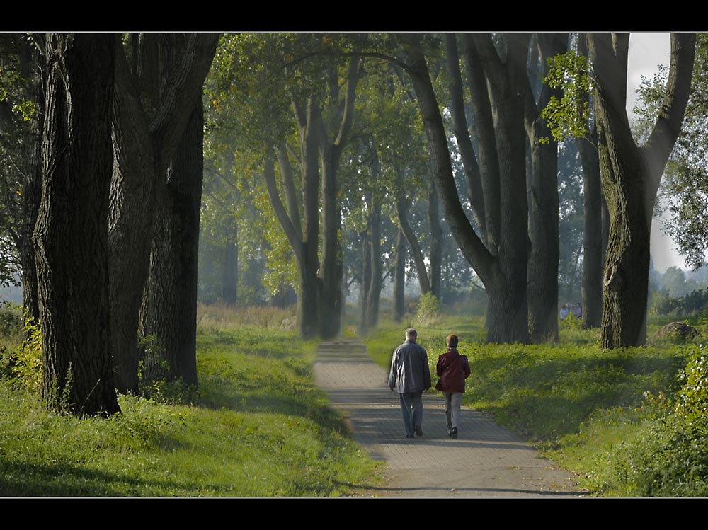 Auenwald mit Spaziergängern