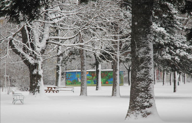 Auer Welsbach Park im Winter