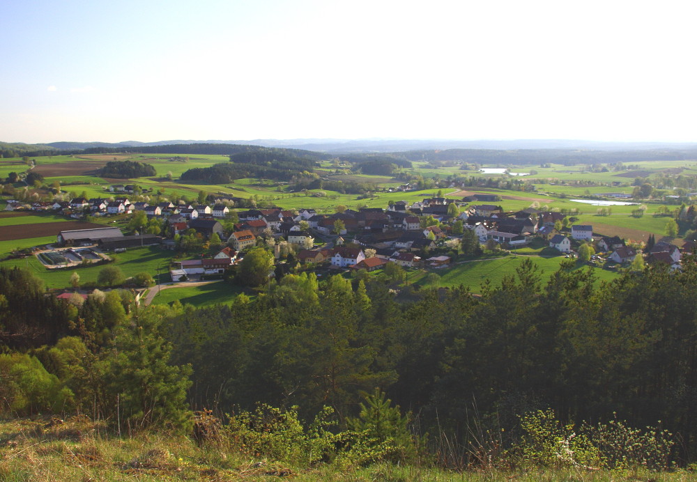 Auerbacher Ortsteil Welluck
