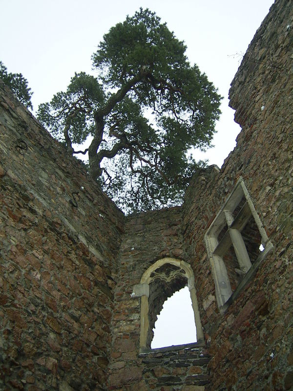 Auerbacher Schloss an der Bergstraße