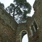 Auerbacher Schloss an der Bergstraße