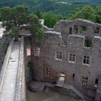 Auerbacher Schloss - Der Baum mitten in der Mauer