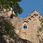 Auerbacher Schloss: Die Fassade