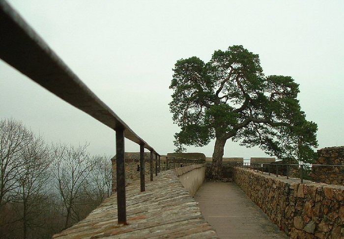 Auerbacher Schloss