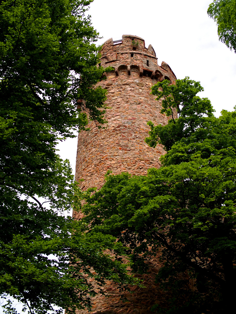 Auerbacher Schloss