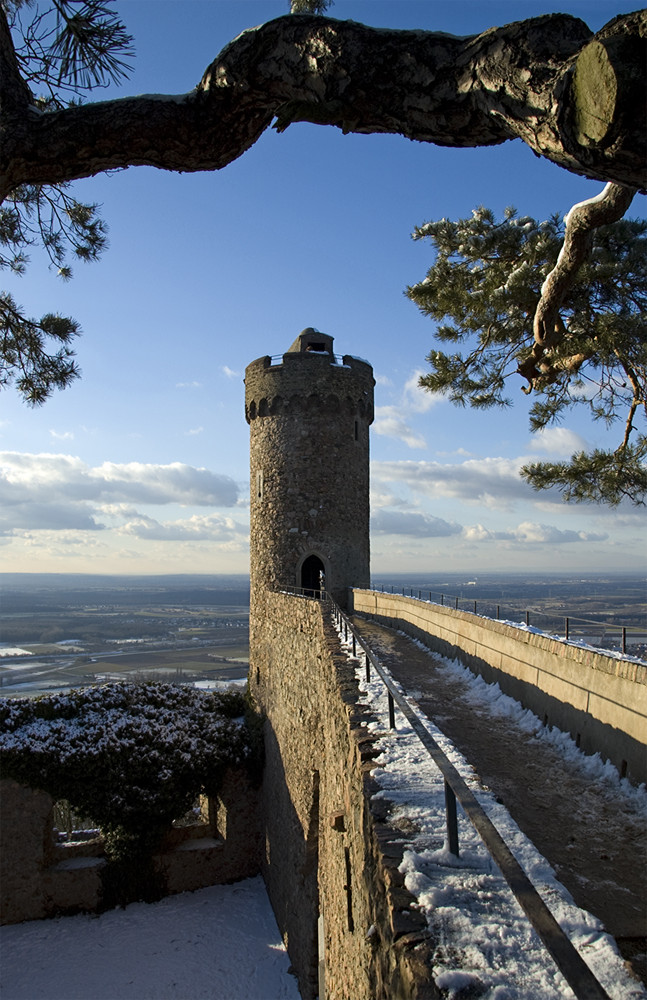 Auerbacher Schloss im Februar