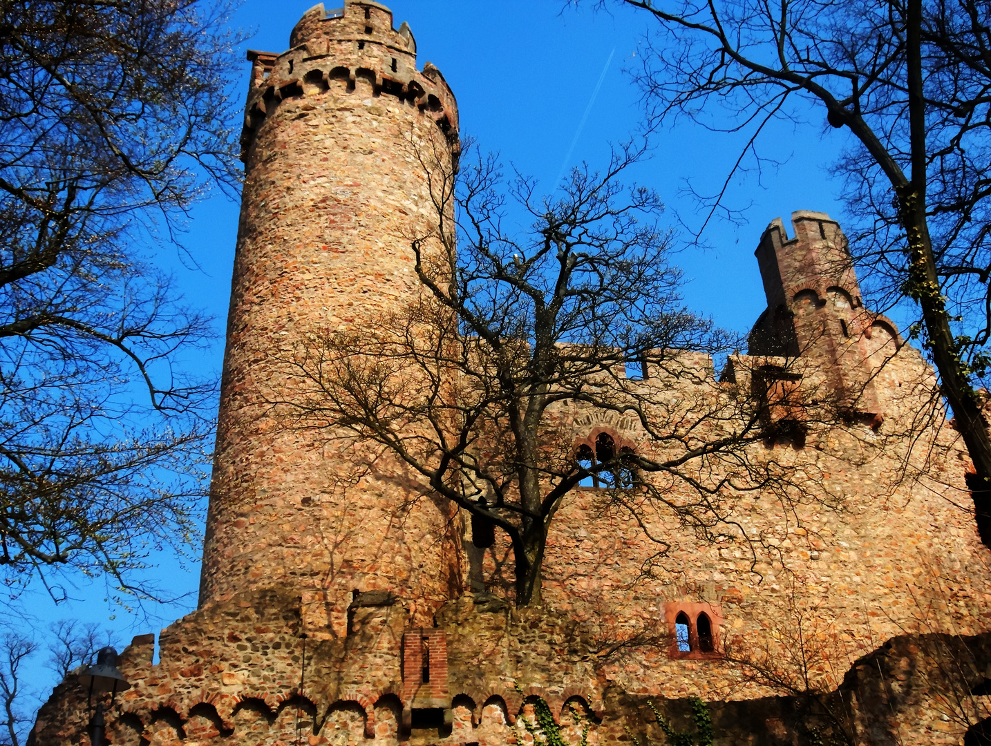 Auerbacher Schloss im Herbst