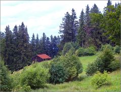 Auerberg   im  Juli 