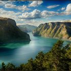 Auerland Fjord