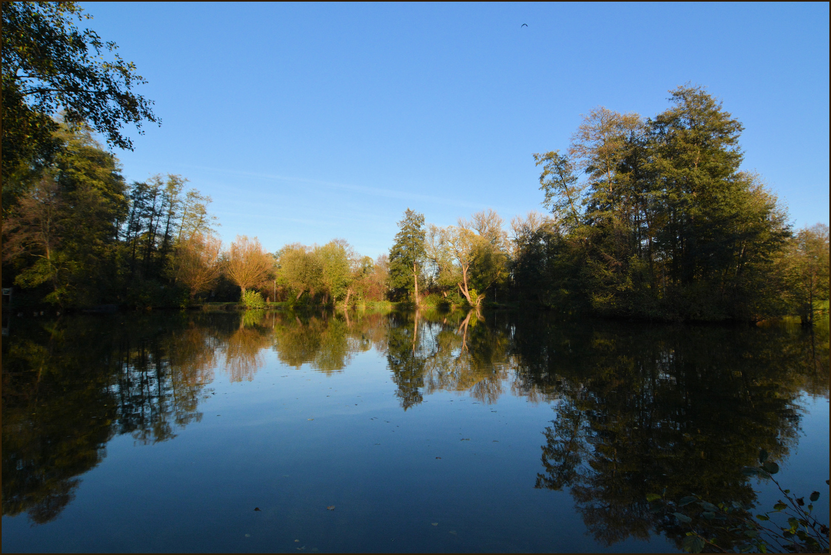 Aueweiher 