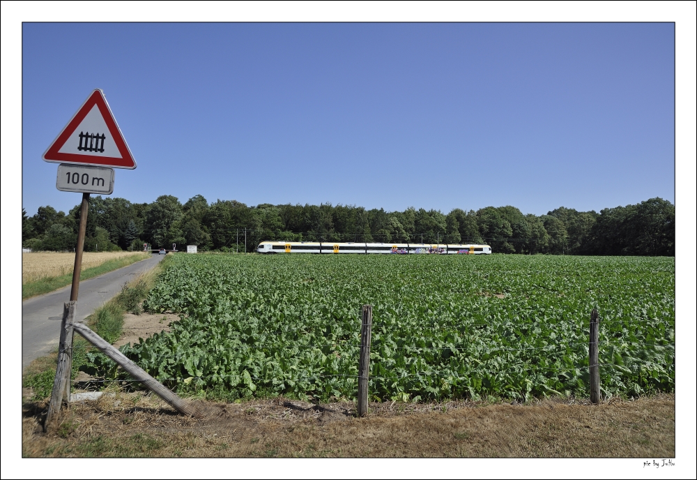 Auf 100 Meter Rüben