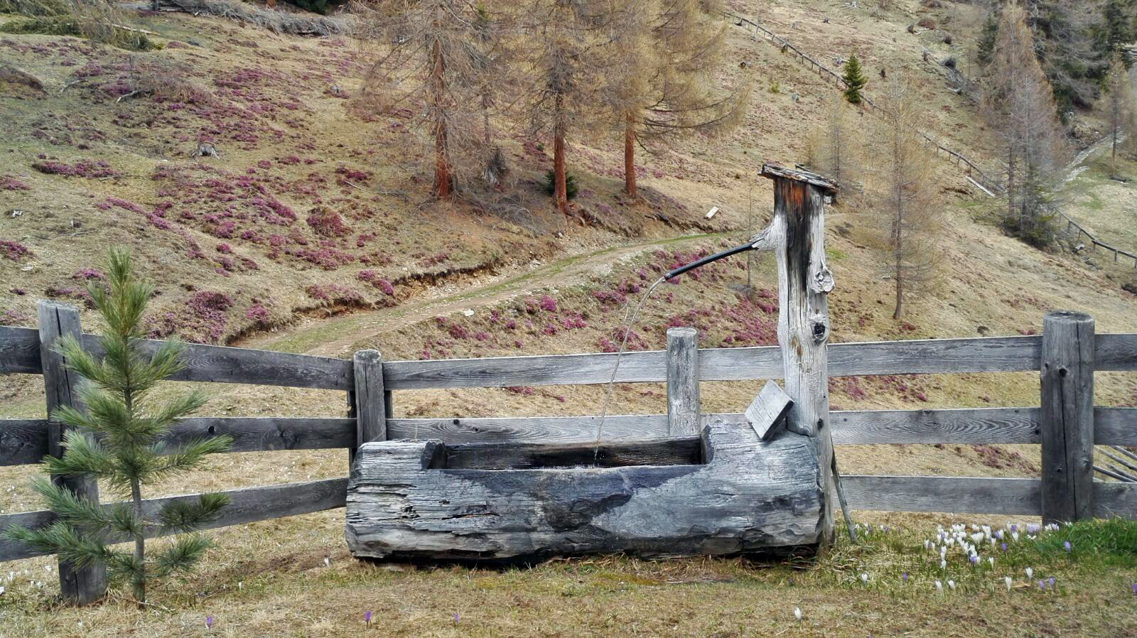 auf 1800 m wird es langsam Frühling