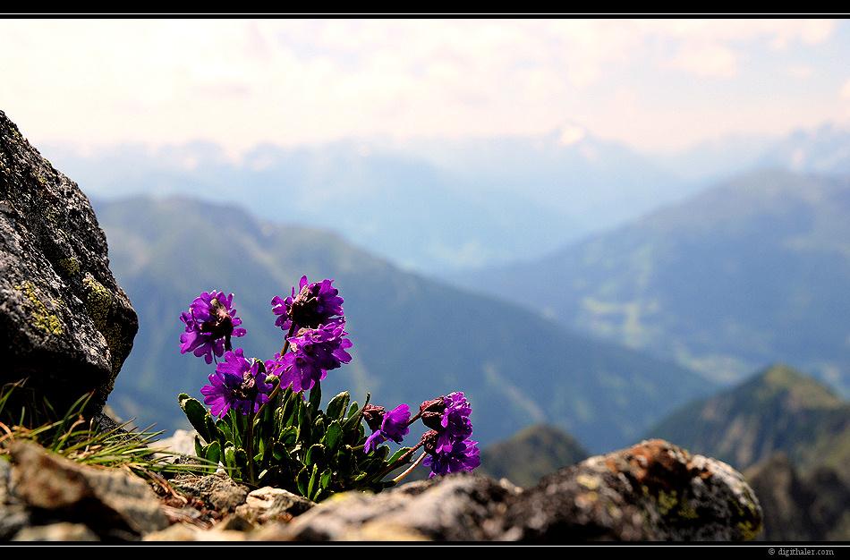 .... auf 2.700m Seehöhe ....