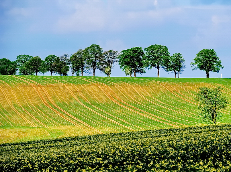 Auf & ab... Foto & Bild natur, landschaft, motive Bilder auf