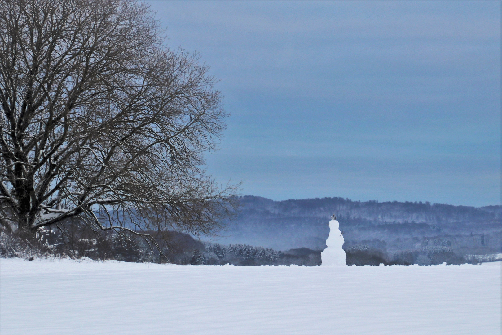 Auf Abstand: Lonesome snowman