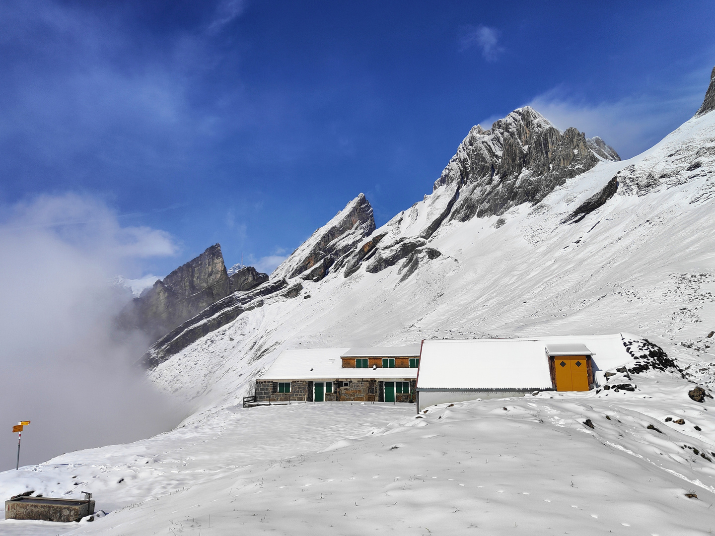 auf Altenalp 