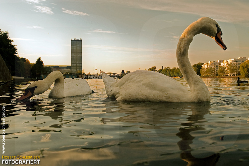 auf, am, im - Wasser