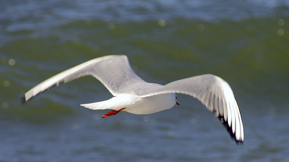 auf an die ostsee