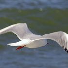 auf an die ostsee