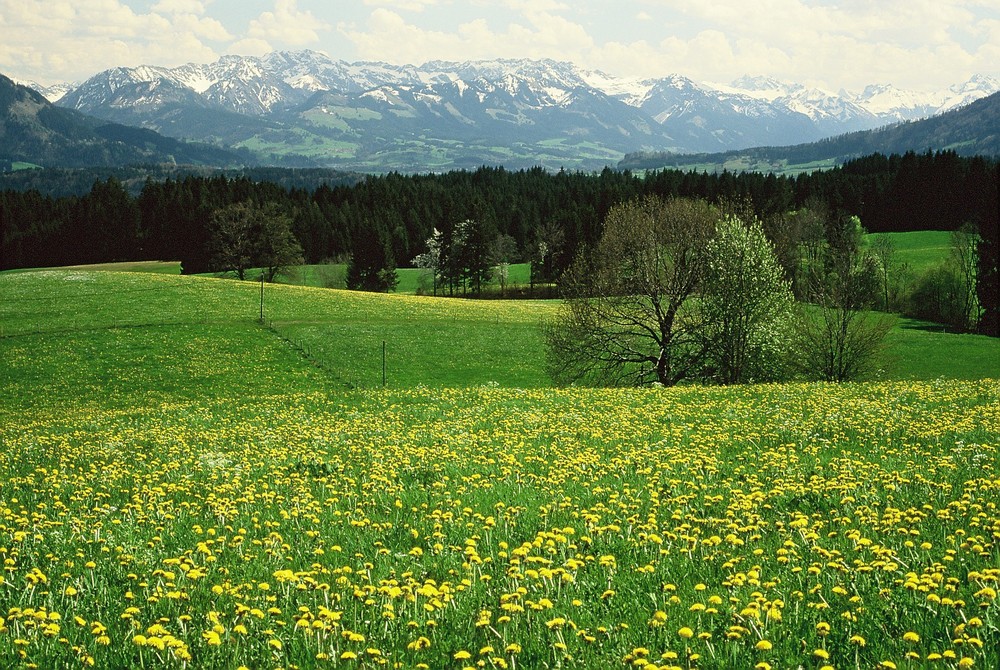 AUF AN SCHÖNEN SOMMER 2