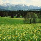 AUF AN SCHÖNEN SOMMER 2