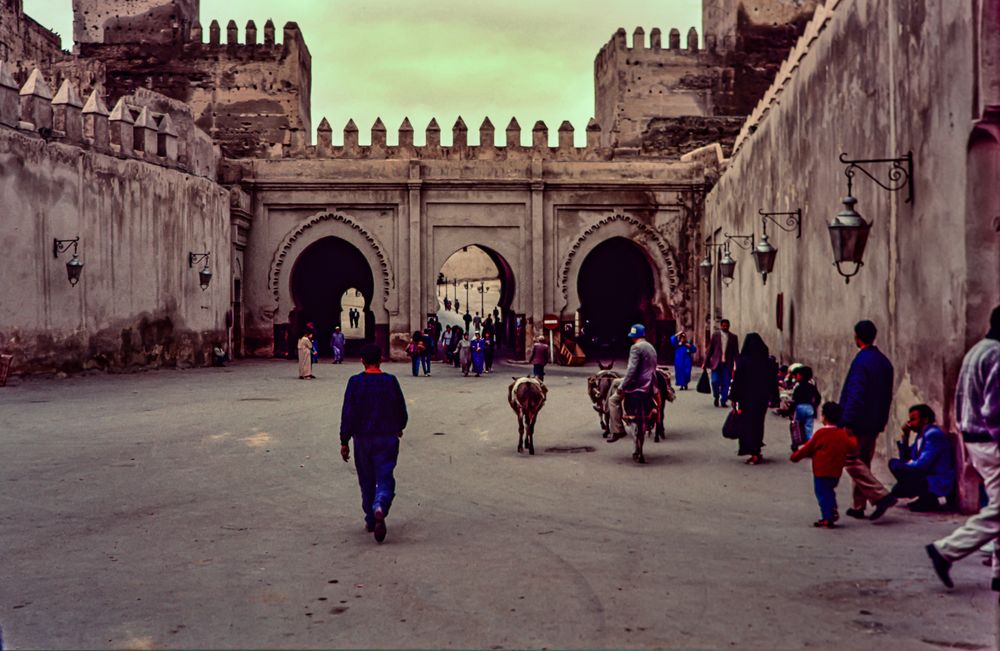 Auf Arbeitssuche, Fes...................DSC_1405