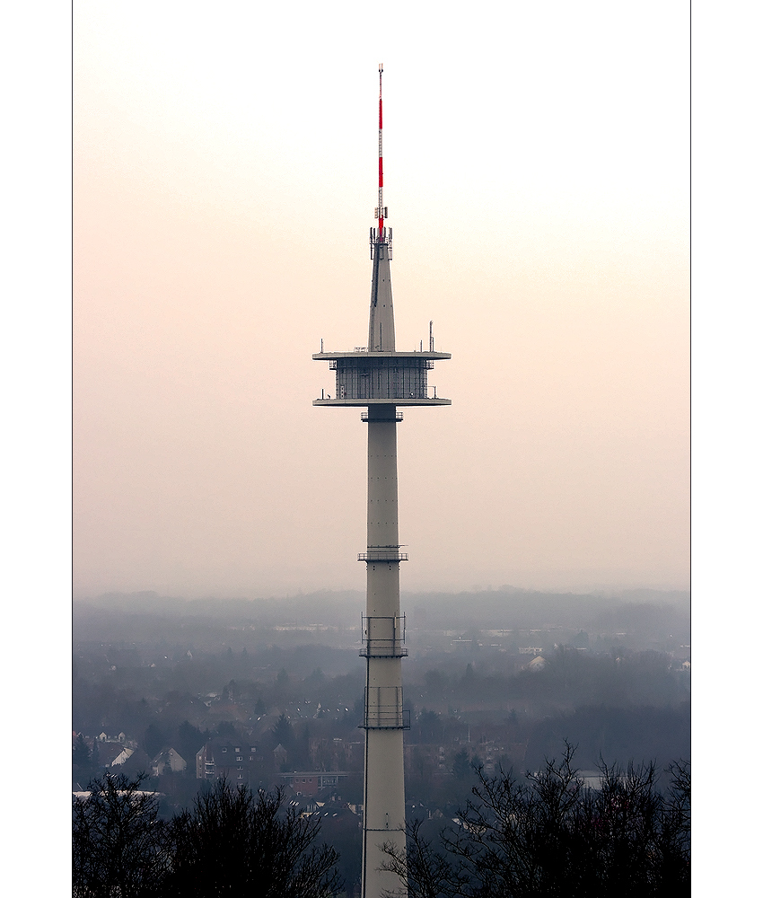 Auf Augenhöhe...