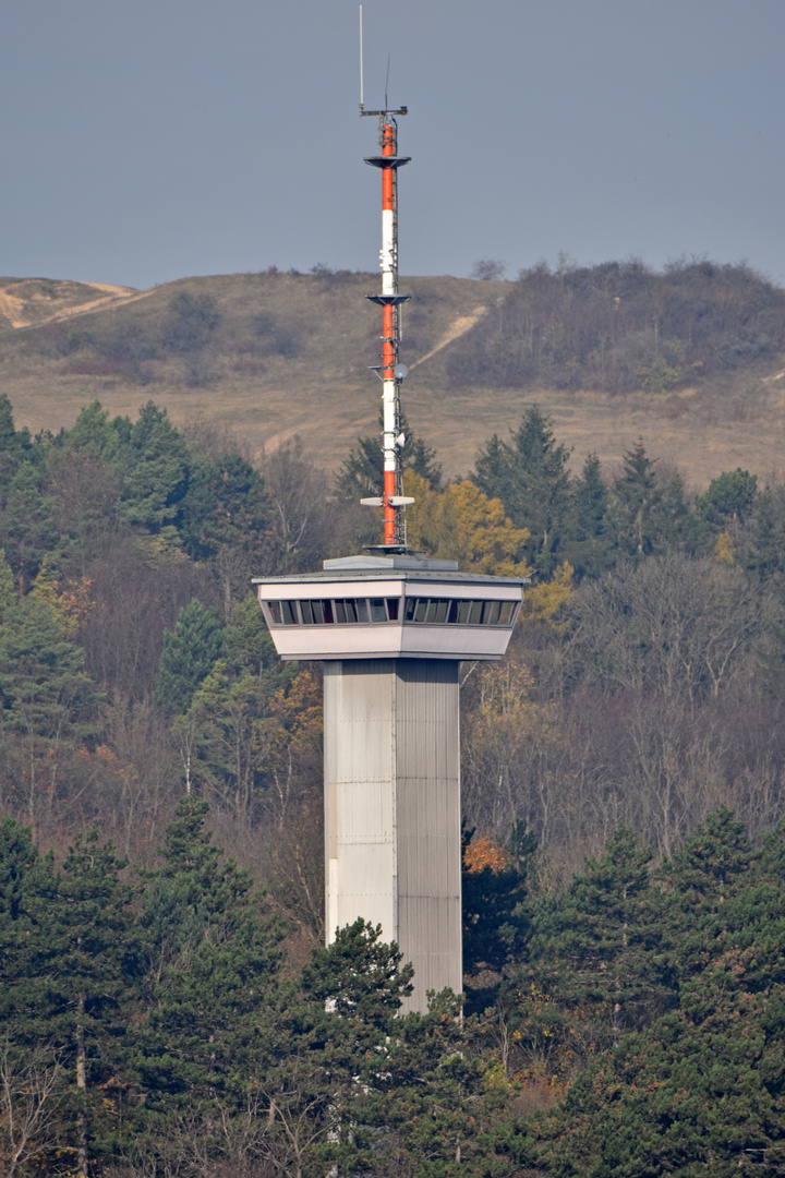 Auf Augenhöhe