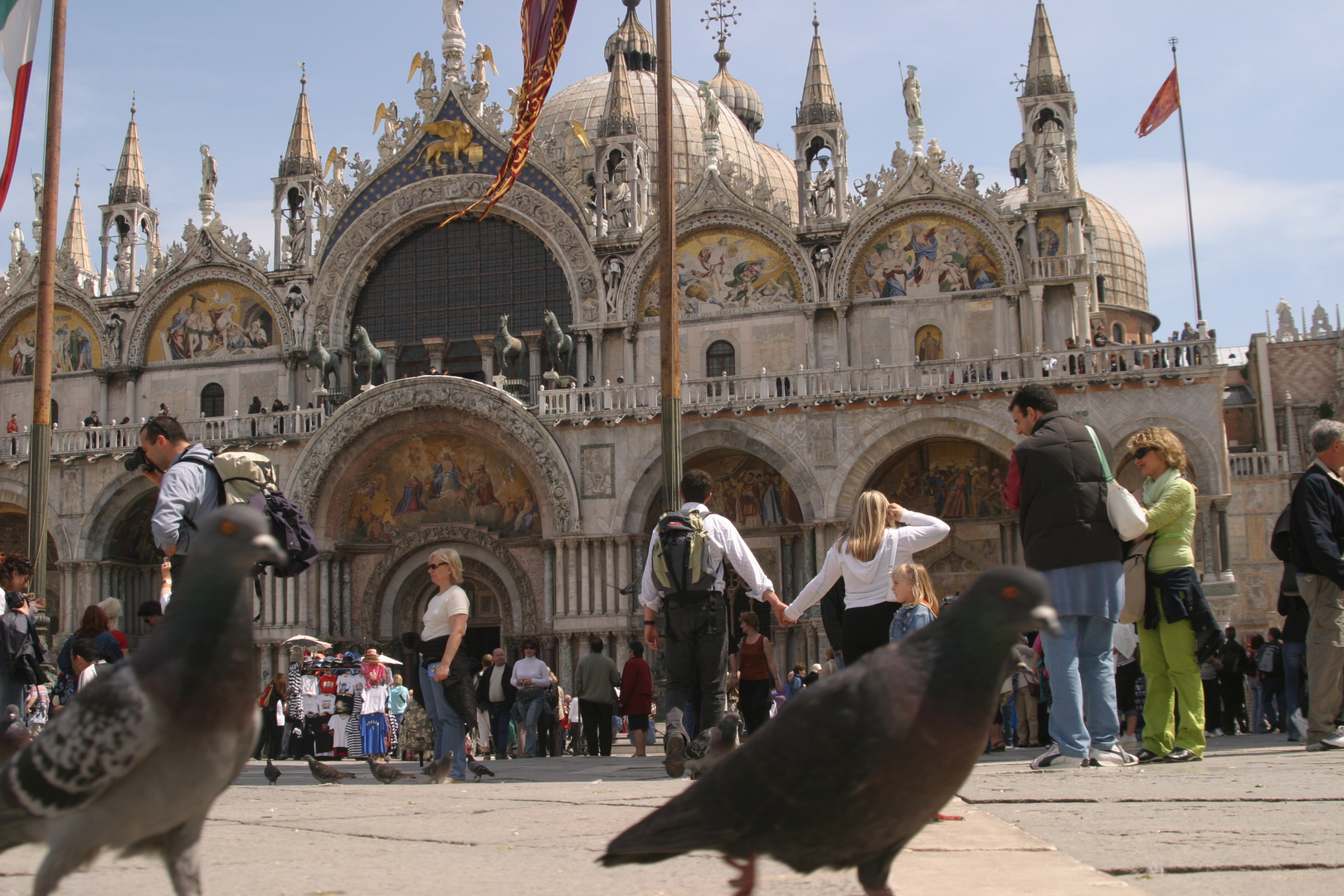 auf Augenhöhe am San Marco