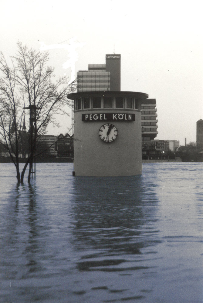 auf Augenhöhe mit Vater Rhein