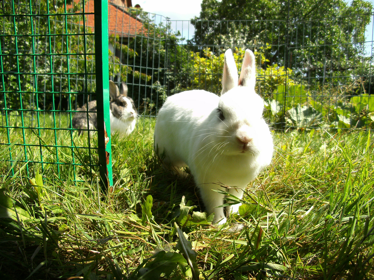 Auf Augenhöhe oder In the Sunshine