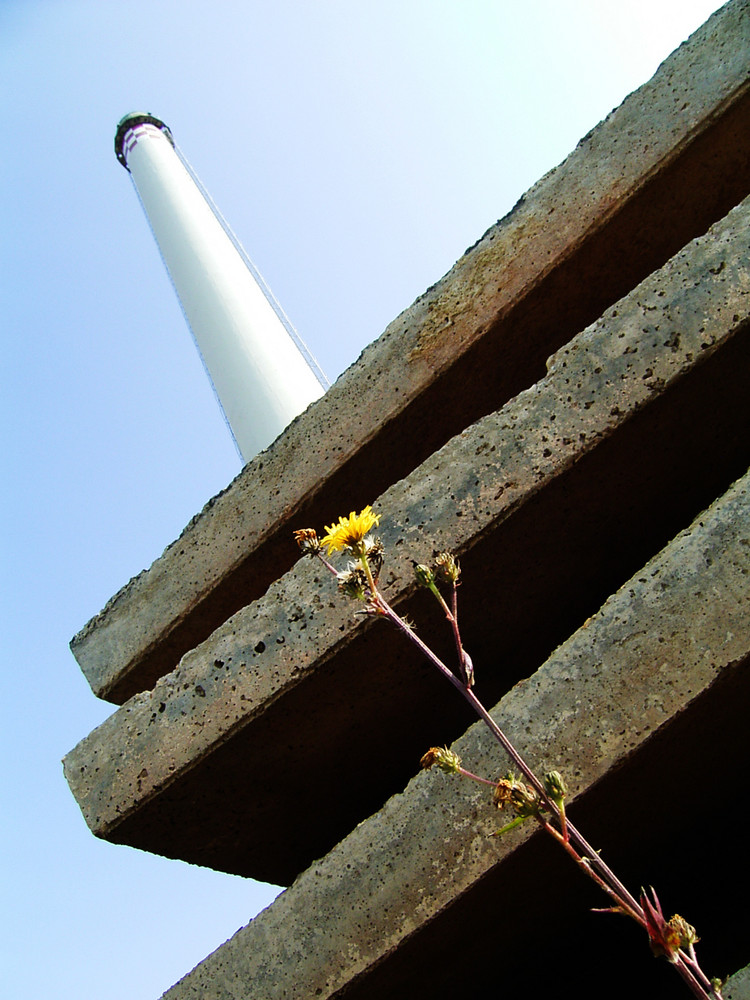 AUF-BAU-AB-BAU-AUF