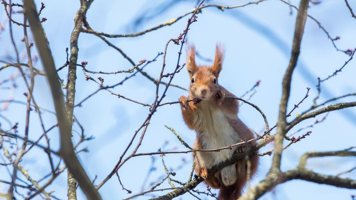Auf Beobachtungsposten