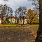 Auf Besuch im Villenviertel im 18. Bez., Währing