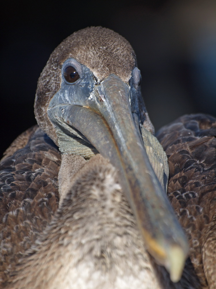 auf Birdwatching-Tour 2