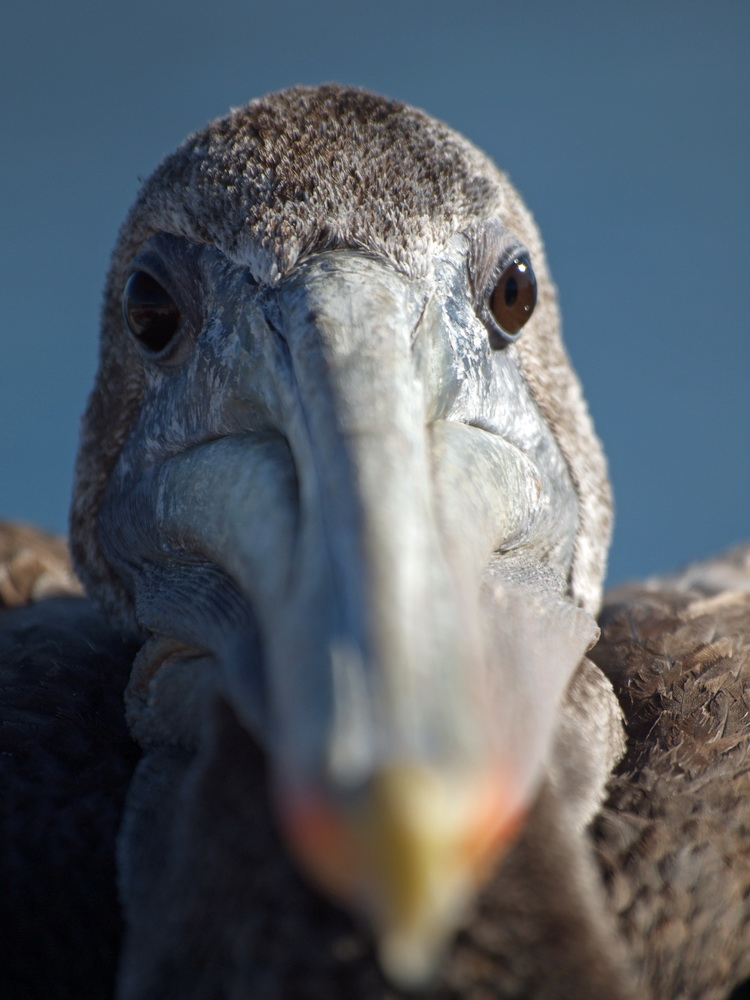 auf Birdwatching-Tour 3