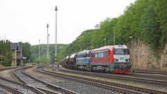Auf Bisonjagd in Böhmen