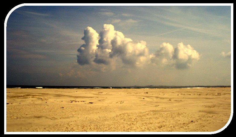 Auf Borkum