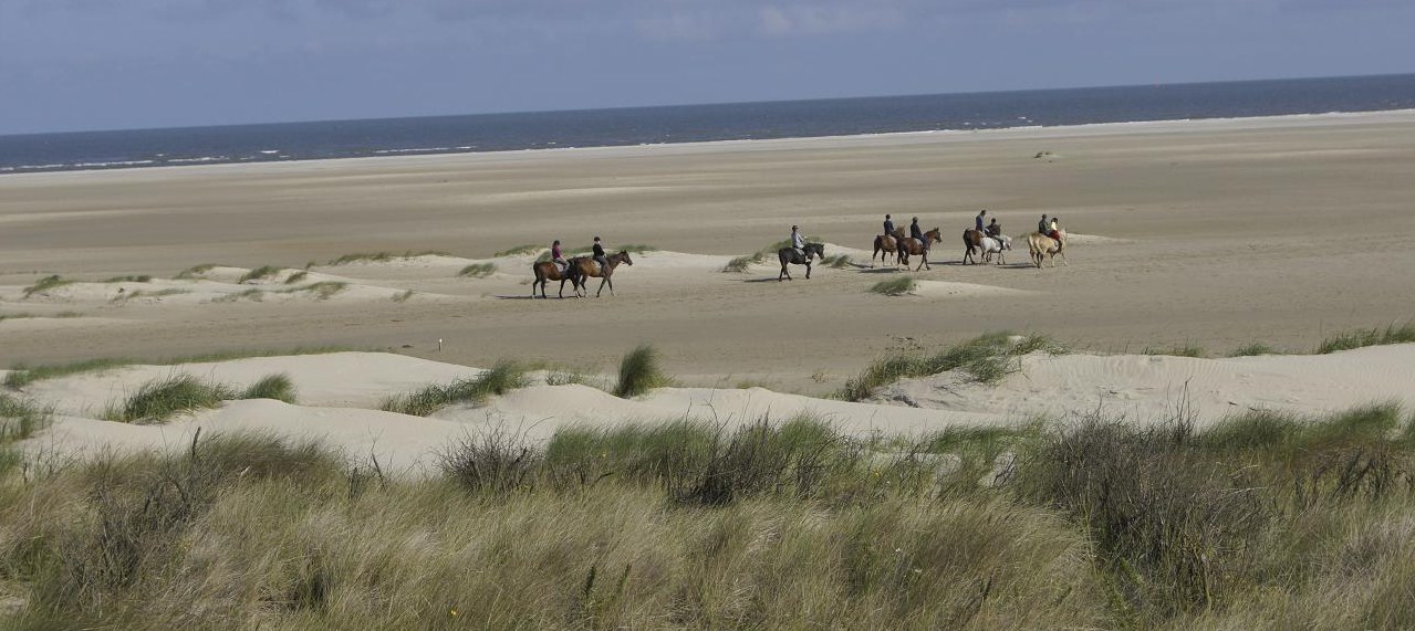 Auf Borkum