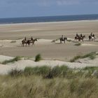 Auf Borkum