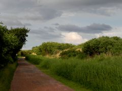 auf Borkum