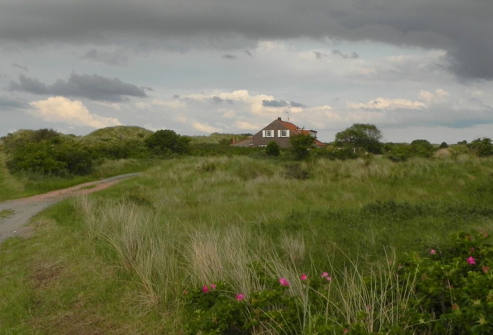 Auf Borkum, Haus hinter den Dünen.