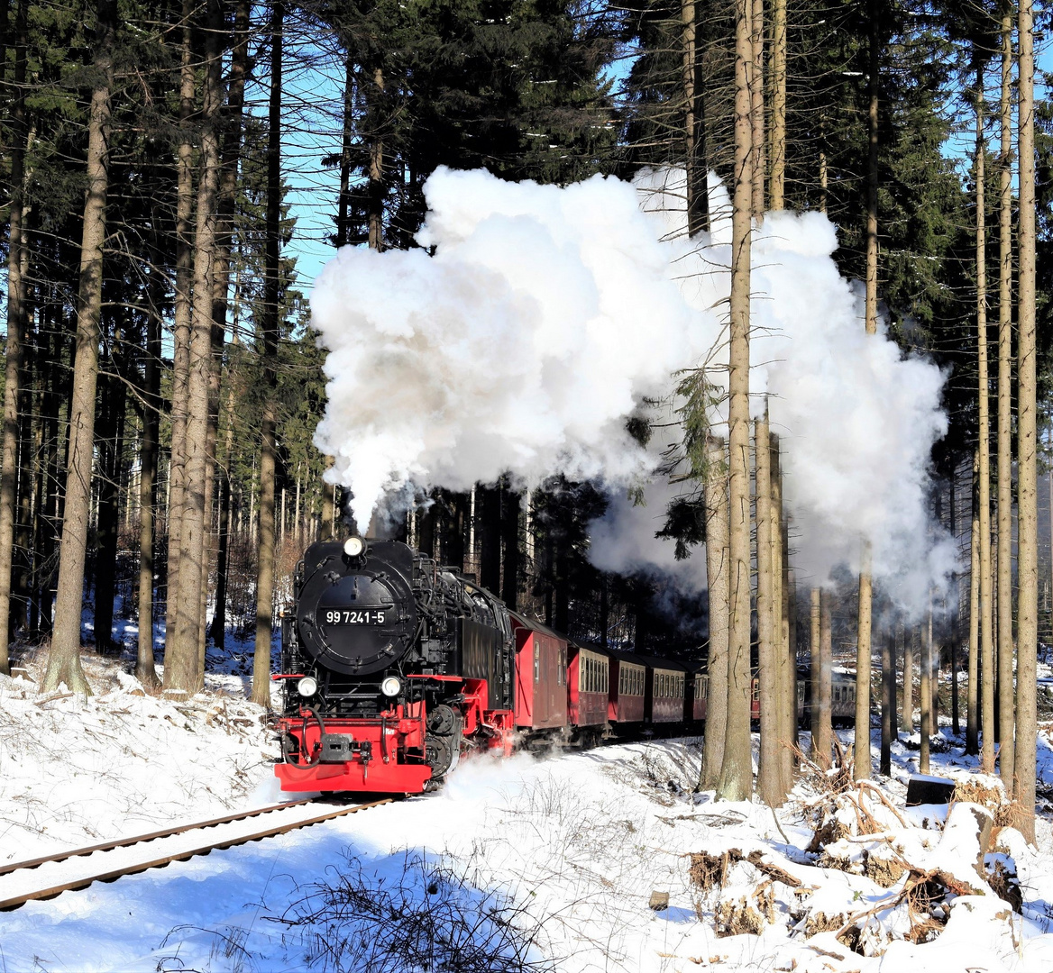 Auf das der Wald im Harz ...