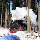 Auf das der Wald im Harz ...