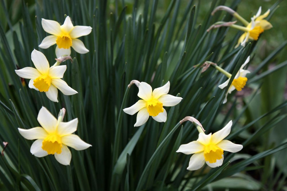 auf das es so zu Ostern aussieht