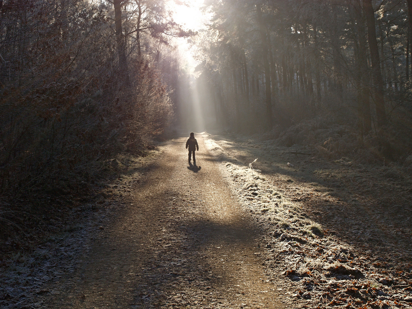 Auf das Licht zu