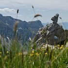 Auf dem Abstieg vom Schibengütsch... (Entlebuch, CH)