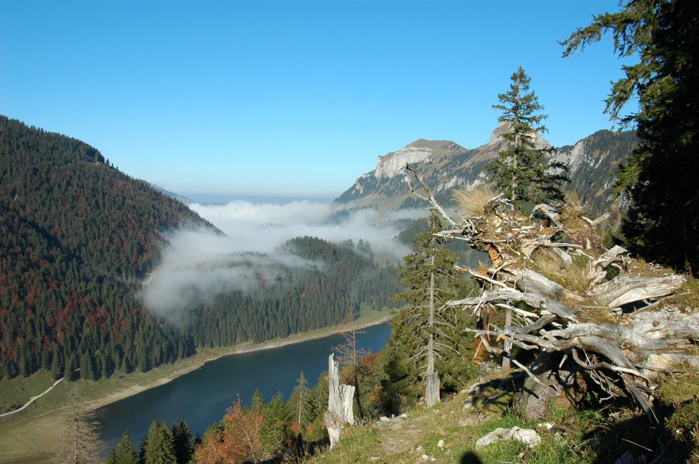 Auf dem Abstieg vom Stauberen